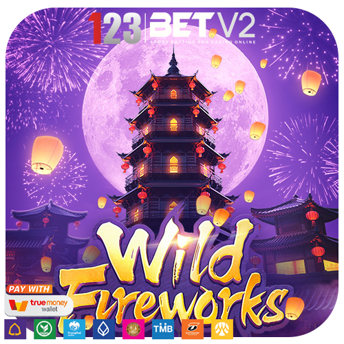 Wild Fireworks ดอกไม้ไฟป่า เทศกาลประจำปีในฤดูร้อน มีโคมกระดาษหลายพันโคม