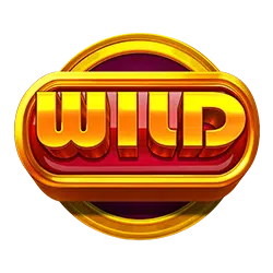 สัญลักษณ์ Wild