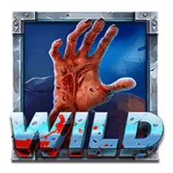 สัญลักษณ์ Wild