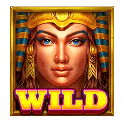 สัญลักษณ์ WILD